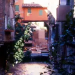 Il Canale 3*